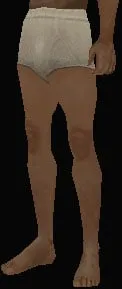 Clothing index 0: player_legs (legs)