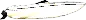 Squalo