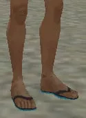 Clothing index 9: flipflop (flipflop)